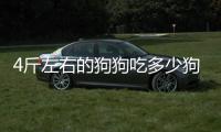 4斤左右的狗狗吃多少狗糧