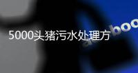 5000頭豬污水處理方案介紹（某養豬場廢水處理方案分享）