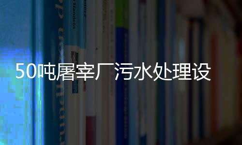 50噸屠宰廠污水處理設(shè)備