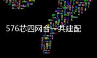 576芯四網(wǎng)合一共建配線柜穩(wěn)定的技術