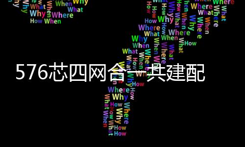 576芯四網合一共建配線柜穩定的技術