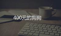 400元的狗狗