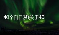 40個白日夢(關于40個白日夢簡述)