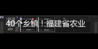 40個(gè)鄉(xiāng)鎮(zhèn)！福建省農(nóng)業(yè)農(nóng)村廳最新公示