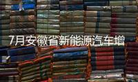 7月安徽省新能源汽車增長64.1%