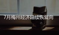 7月梅州經濟延續恢復向好態勢！簡況出爐→