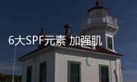 6大SPF元素 加強肌膚防曬內在功力