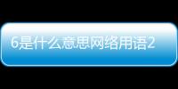 6是什么意思網(wǎng)絡(luò)用語(yǔ)2022（6是什么意思）