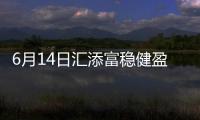 6月14日匯添富穩健盈和一年持有混合凈值1.0734元，增長0.06%