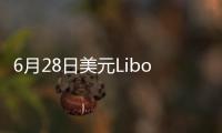 6月28日美元Libor情況一覽