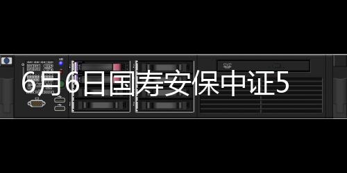 6月6日國壽安保中證500ETF凈值下跌1.82%