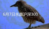 6月7日永贏滬深300ETF凈值下跌0.45%