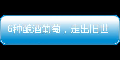 6種釀酒葡萄，走出舊世界，揚名新世界