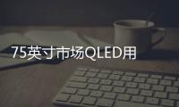 75英寸市場QLED用戶是OLED的12倍 TCL推出首臺量子點Pro電視,行業資訊