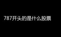 787開頭的是什么股票，可以給我解答一下嗎