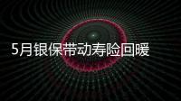 5月銀保帶動壽險回暖 負增長者依舊超50%