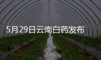 5月29日云南白藥發布公告其股東減持2338萬股