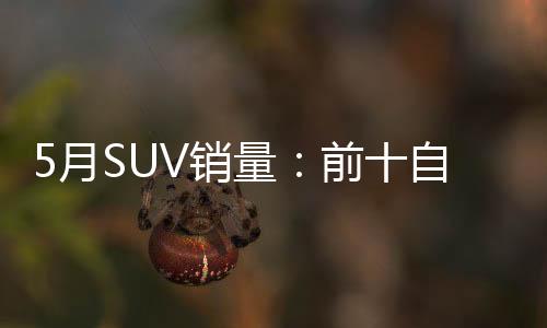 5月SUV銷量：前十自主僅剩3款露短板