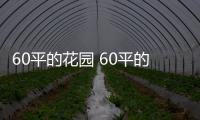 60平的花園 60平的綠影婆娑