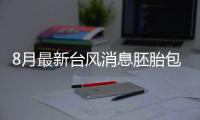 8月最新臺風消息胚胎包括8月臺風新聞熱點大事件的具體內容