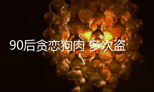 90后貪戀狗肉 多次盜狗被捕