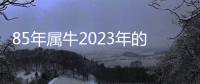 85年屬牛2023年的全年運勢（85年）