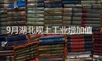 9月湖北規上工業增加值同比增長6.5%   工業經濟逐季改善重點行業加快回升