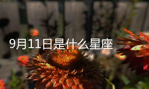 9月11日是什么星座 陽歷9月11號是什么星座