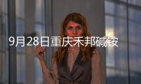 9月28日重慶禾邦堿銨純堿市場動態,市場研究