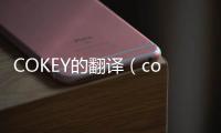 COKEY的翻譯（cokey什么意思）