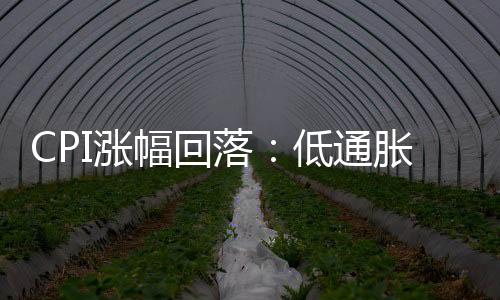 CPI漲幅回落：低通脹格局未變 控物價目標(biāo)可期