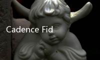 Cadence Fidelity CFD 軟件平臺助力工程師仿真多物理場的系統(tǒng)性能