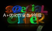 A+優化作業本·9年級語文(關于A+優化作業本·9年級語文簡述)