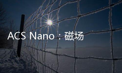 ACS Nano：磁場增強光催化性能研究 – 材料牛