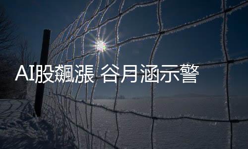 AI股飆漲 谷月涵示警恐泡沫化 謝金河：避開中國殺戮才有大機會！