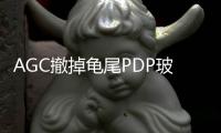 AGC撤掉龜尾PDP玻璃事業，LCD玻璃AFK將持續營運,國際動態