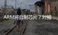 ARM將自制芯片？對鯤鵬、海光、龍芯等國內(nèi)廠商會有何影響？