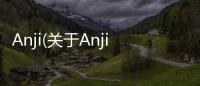 Anji(關于Anji簡述)