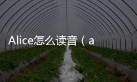 Alice怎么讀音（alice怎么讀什么意思）