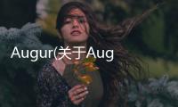 Augur(關于Augur簡述)