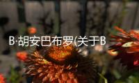 B·胡安巴布羅(關(guān)于B·胡安巴布羅簡(jiǎn)述)