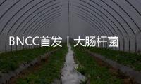 BNCC首發丨大腸桿菌噬菌體MS2核酸參考品正式上架！