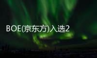 BOE(京東方)入選2022年生態品牌認證榜單