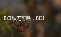 BCI跌無可跌，BDI路在何方？