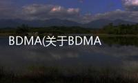 BDMA(關于BDMA簡述)