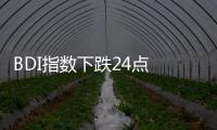 BDI指數下跌24點 報1575點 海岬型跌幅擴大