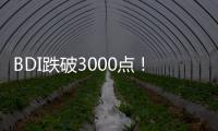 BDI跌破3000點！干散貨市場四季度或持續疲軟