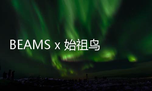 BEAMS x 始祖鳥最新聯名系列即將來襲