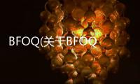 BFOQ(關于BFOQ簡述)