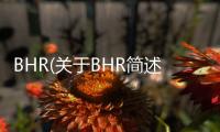 BHR(關于BHR簡述)